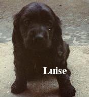 Luise