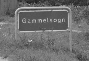 Gammelsogn